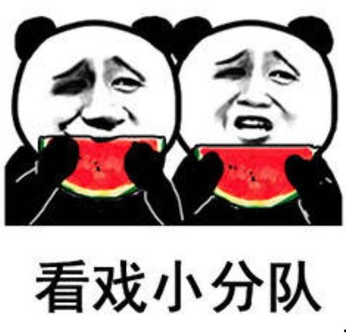 吃瓜表情包是啥意思啊,网络热词背后的文化现象