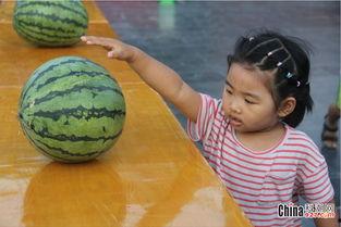 吃瓜比赛技巧,揭秘吃瓜比赛的五大绝技