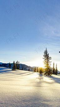存在 林海 背景,探寻自然秘境的绿色传奇