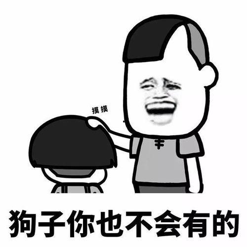 太逗了表情包,太逗了！表情包背后的欢乐时光