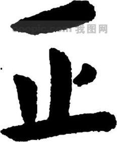 正图片,探索正图片背后的故事与奥秘