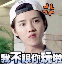 鹿晗表情包集合